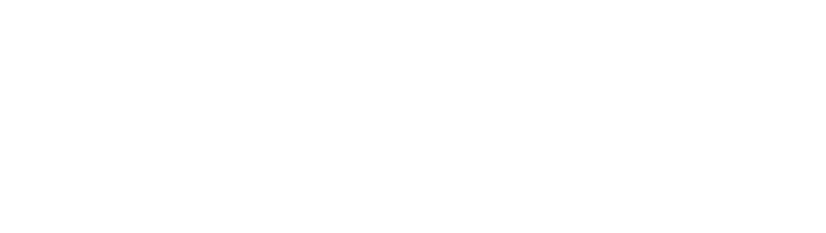 Fortune KK